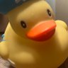Duck!!!'s profile picture