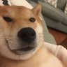 li profil fotoğrafı