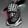 Фото профиля Habib Mohssin 🇾🇪🇵🇸