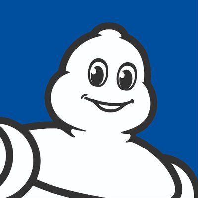 Michelin's profile picture