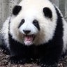 pwn.h♡'s profile picture
