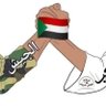 Ahmed Helmi's profile picture