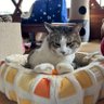 さちこ 的头像