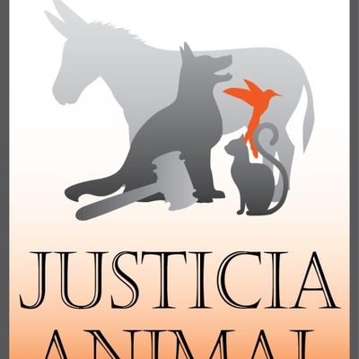 JUSTICIANIMA's profile picture
