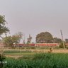 Фото профиля pinkfong_yadav