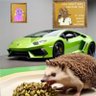 Nick's profile picture