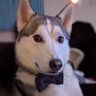 Profilbild von Aidan