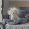 지후 profil fotoğrafı