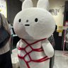 りん@雑多 profil fotoğrafı