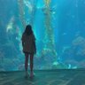 ゆってぃ🇹🇼さくま担's profile picture