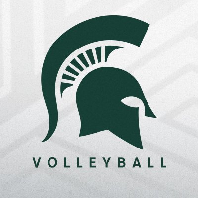 MSU_Volleyball's profile picture