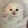 Profilbild von Juicy Cooms