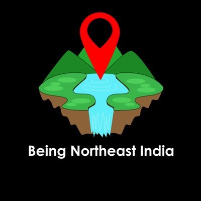 beingNEastindia's profile picture