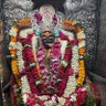 Profilbild von SHIVA KANT MISHRA