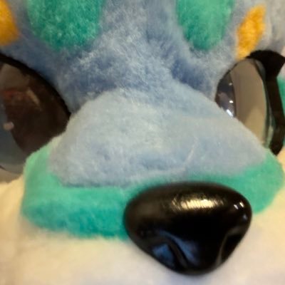 这只洛不是海鲜's profile picture