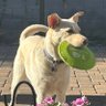 KPEH57's profile picture