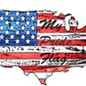 SpringMoon 🇺🇸 🇮🇱's profile picture