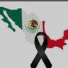Rubén Ortiz's profile picture