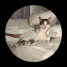 Monina profil fotoğrafı