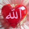 Фото профиля المسافر