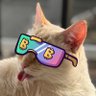 Shwoopies's profile picture