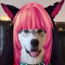 MrN3lz profil fotoğrafı