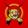 Karikalan17 的头像
