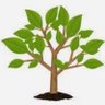 Green Tree's profile picture