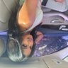 Shannia✨ profil fotoğrafı
