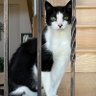 Фото профиля Cleo