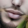 Profilbild von السلطان محمد