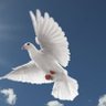 Profilbild von Beautiful world 0724