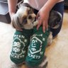 Фото профиля がじゅまる