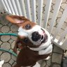 CKƚwɘᴎƚʏ's profile picture