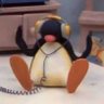 pingu 🐧 profil fotoğrafı