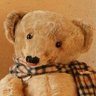 Aloysius profil fotoğrafı