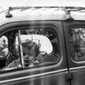 Bílík M. profil fotoğrafı