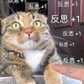 手可摘星辰 的头像