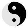 ZENAN YU's profile picture