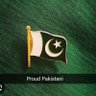 True Pakistani's profile picture
