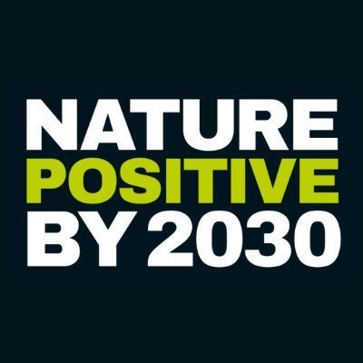 NatureDeal's profile picture
