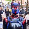 Auto/M!key 🔜 Mutt Hut, Mucky Pups's profile picture