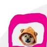 @DOG.GO.TO.MOON EDILSONBITCOINORDINALS solana id 的头像