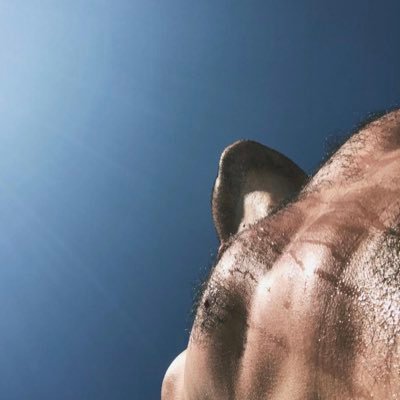 alphafindommaster's profile picture
