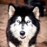 Spot-xtra's profile picture