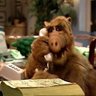 Profilbild von Gordon Shumway