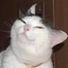 Zatt_Allen's profile picture