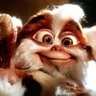 SwampGremlin 的头像