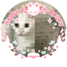 롸둥이's profile picture
