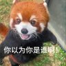 Profilbild von 看不见我看不见我